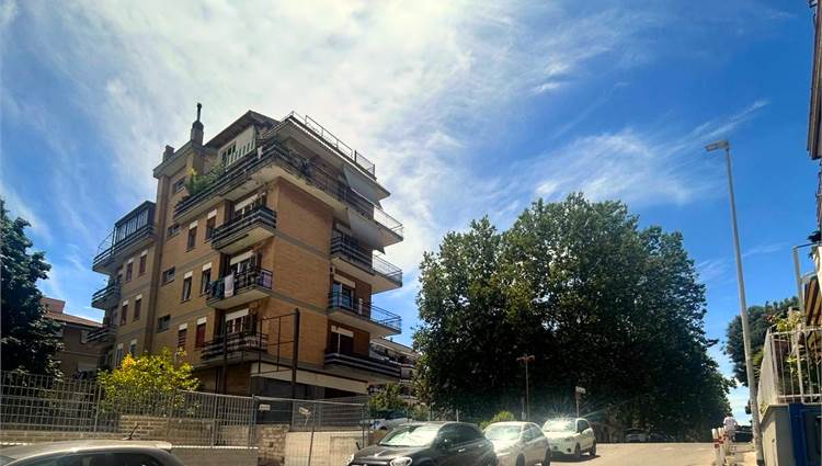 zona cirostante