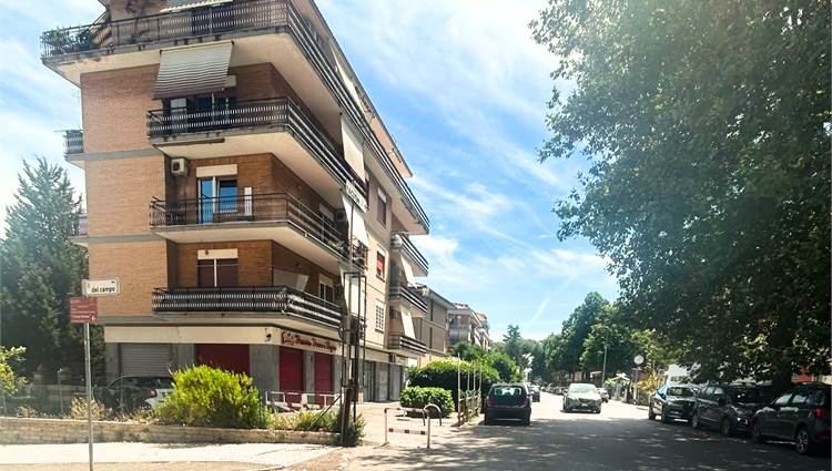 zona circostante 