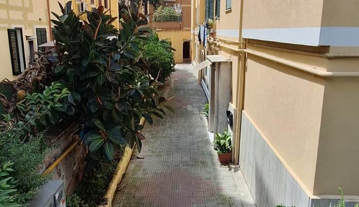 esterno 